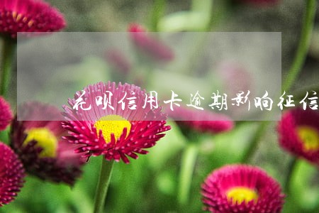花呗信用卡逾期影响征信吗 花呗信用卡逾期影响征信吗