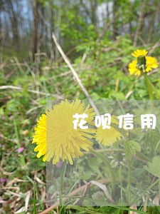 花呗信用卡逾期我怎么样