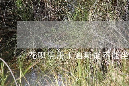 花呗信用卡逾期能不能坐飞机 花呗信用卡逾期能不能坐飞机