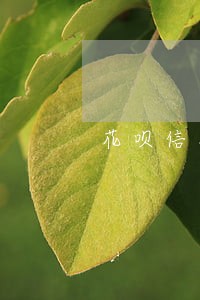 花呗信用卡逾期还完多久可以用 花呗信用卡逾期还完多久可以用