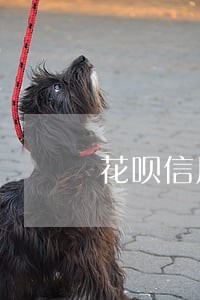 花呗信用卡逾期还款后果 花呗信用卡逾期还款后果