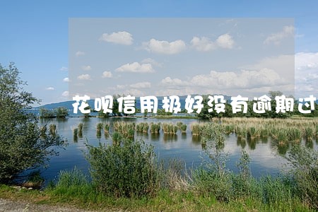 花呗信用极好没有逾期过 花呗信用极好没有逾期过