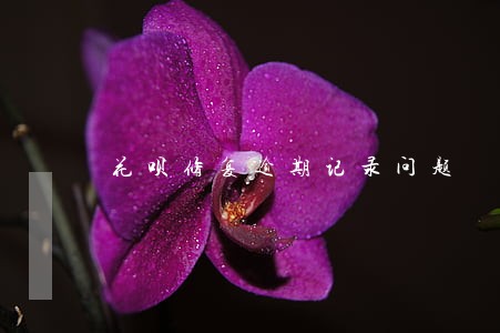 花呗修复逾期记录问题 花呗修复逾期记录问题