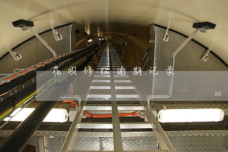 花呗修改逾期记录 花呗修改逾期记录