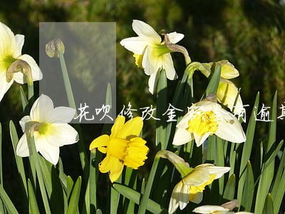 花呗修改金额会有逾期吗 花呗修改金额会有逾期吗