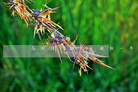 花呗借1200逾期一年还不上 花呗借1200逾期一年还不上