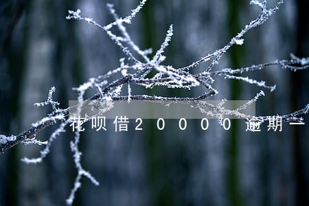 花呗借20000逾期一年