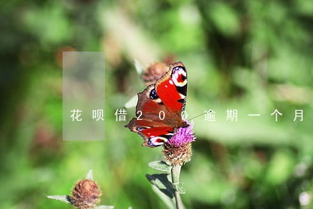 花呗借200逾期一个月多少利息 花呗借200逾期一个月多少利息