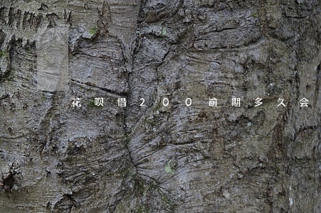 花呗借200逾期多久会通知亲属 花呗借200逾期多久会通知亲属