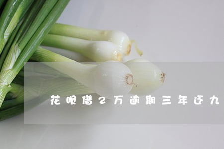花呗借2万逾期三年还九万