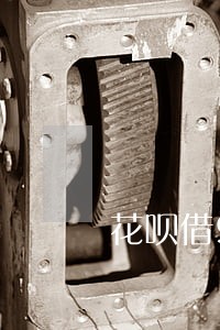 花呗借900逾期一年 花呗借900逾期一年