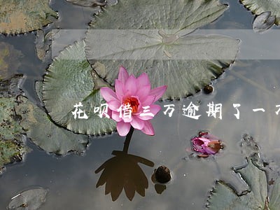 花呗借三万逾期了一万多 花呗借三万逾期了一万多