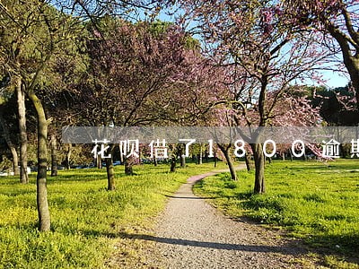 花呗借了1800逾期三个月 花呗借了1800逾期三个月