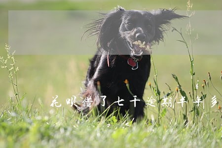 花呗借了七千逾期半年多要还多少 花呗借了七千逾期半年多要还多少