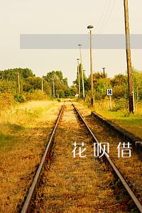 花呗借了几百块逾期半年 花呗借了几百块逾期半年