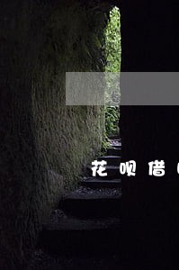 花呗借呗10万逾期罚息
