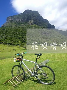 花呗借呗17000元逾期三个月 花呗借呗17000元逾期三个月