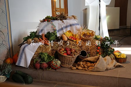 花呗借呗2万逾期两年