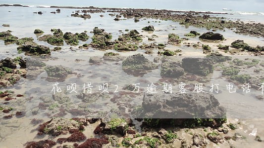 花呗借呗2万逾期客服打电话不接 花呗借呗2万逾期客服打电话不接