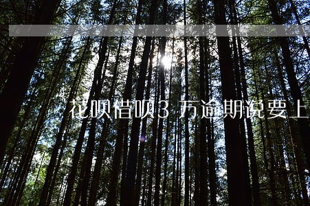 花呗借呗3万逾期说要上门走访 花呗借呗3万逾期说要上门走访