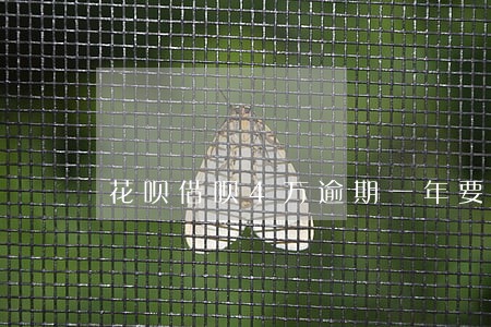 花呗借呗4万逾期一年要判几年 花呗借呗4万逾期一年要判几年