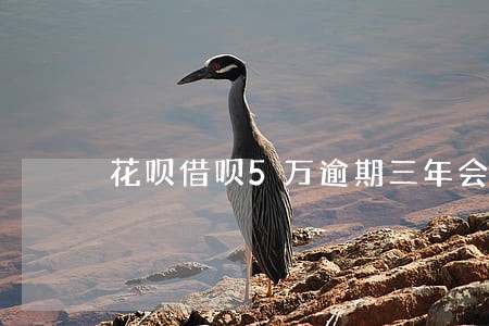 花呗借呗5万逾期三年会坐牢吗 花呗借呗5万逾期三年会坐牢吗