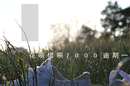 花呗借呗7000逾期一两年 花呗借呗7000逾期一两年