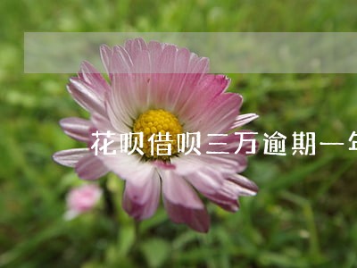 花呗借呗三万逾期一年多 花呗借呗三万逾期一年多