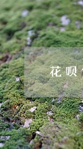花呗借呗不逾期对房贷有影响吗