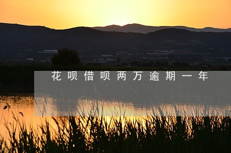 花呗借呗两万逾期一年