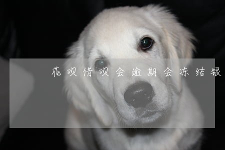 花呗借呗会逾期会冻结银行卡吗 花呗借呗会逾期会冻结银行卡吗