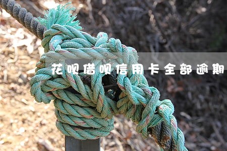 花呗借呗信用卡全部逾期 花呗借呗信用卡全部逾期
