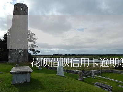 花呗借呗信用卡逾期怎么协商 花呗借呗信用卡逾期怎么协商