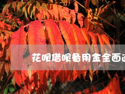 花呗借呗备用金全面逾期 花呗借呗备用金全面逾期