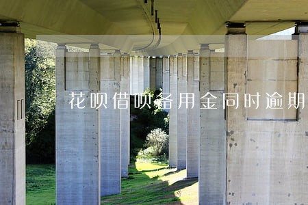 花呗借呗备用金同时逾期