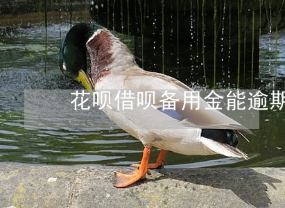 花呗借呗备用金能逾期多久