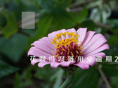 花呗借呗备用金逾期2个月 花呗借呗备用金逾期2个月