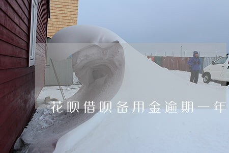 花呗借呗备用金逾期一年 花呗借呗备用金逾期一年