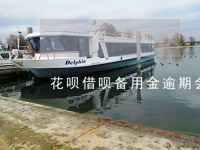 花呗借呗备用金逾期会干嘛 花呗借呗备用金逾期会干嘛