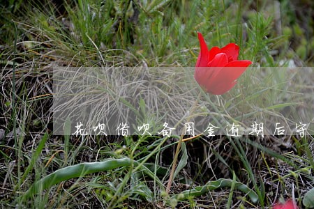 花呗借呗备用金逾期后守约申诉 花呗借呗备用金逾期后守约申诉