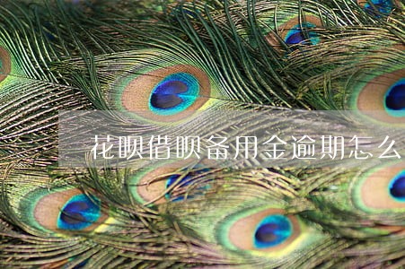 花呗借呗备用金逾期怎么单独还 花呗借呗备用金逾期怎么单独还