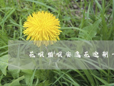 花呗借呗安逸花逾期一年怎么还款 花呗借呗安逸花逾期一年怎么还款