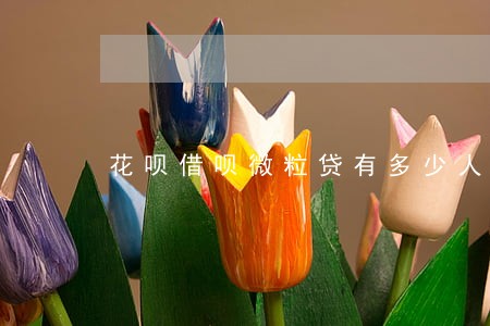 花呗借呗微粒贷有多少人逾期未还 花呗借呗微粒贷有多少人逾期未还