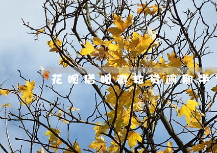 花呗借呗微粒贷逾期半个月会怎样 花呗借呗微粒贷逾期半个月会怎样