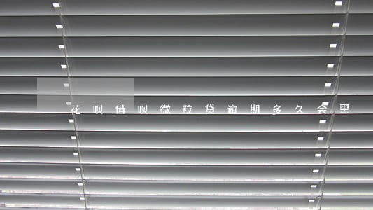 花呗借呗微粒贷逾期多久会黑 花呗借呗微粒贷逾期多久会黑
