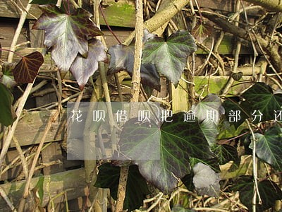 花呗借呗把逾期部分还清 花呗借呗把逾期部分还清