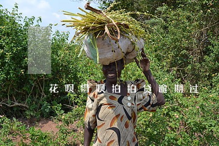 花呗借呗拍拍贷逾期过 花呗借呗拍拍贷逾期过
