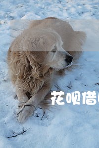 花呗借呗招联金融逾期会咋样 花呗借呗招联金融逾期会咋样