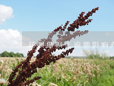 花呗借呗无逾期影响办理车贷吗 花呗借呗无逾期影响办理车贷吗