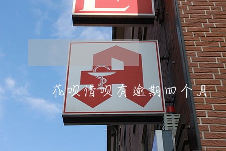 花呗借呗有逾期四个月 花呗借呗有逾期四个月
